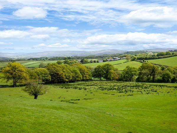 Black Mountain View Llanafan-fawr Exterior photo